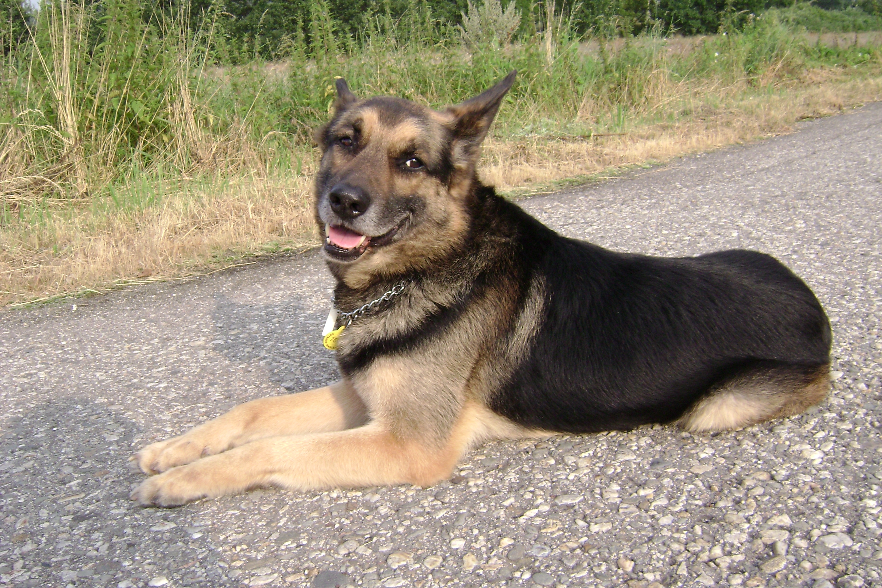Nový obrázek mita